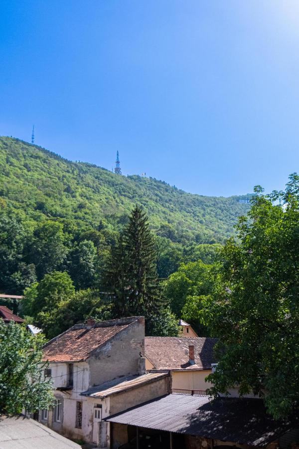 Black Gate - Quiet Studio In The Heart Of Old Town With Free Private Secured Parking Μπρασόβ Εξωτερικό φωτογραφία